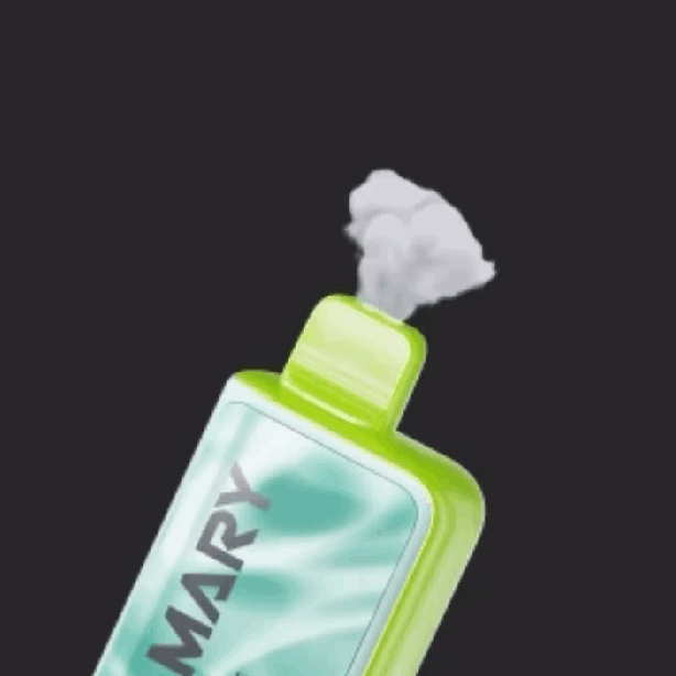 Lost Mary MT15000 Turbo 16ml